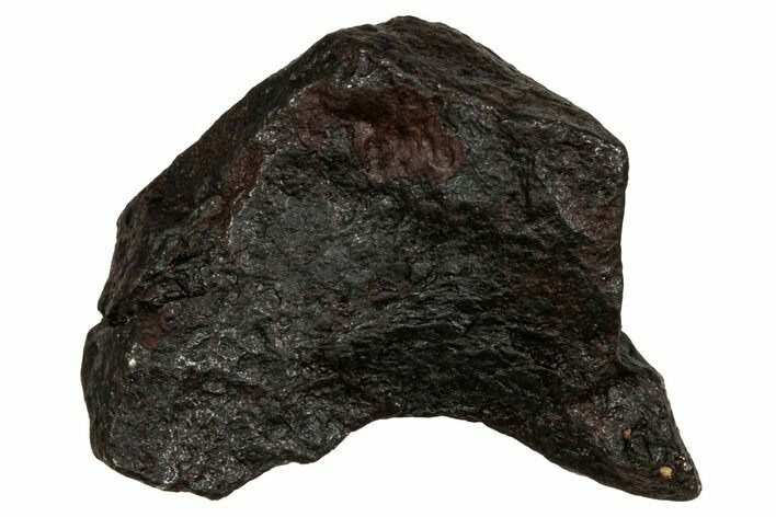 Canyon Diablo Iron Meteorite ( g) - Arizona #336055